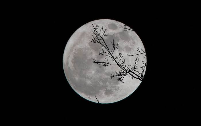 ElevenElevenQts's tweet image. I'm still here, admiring you from afar.