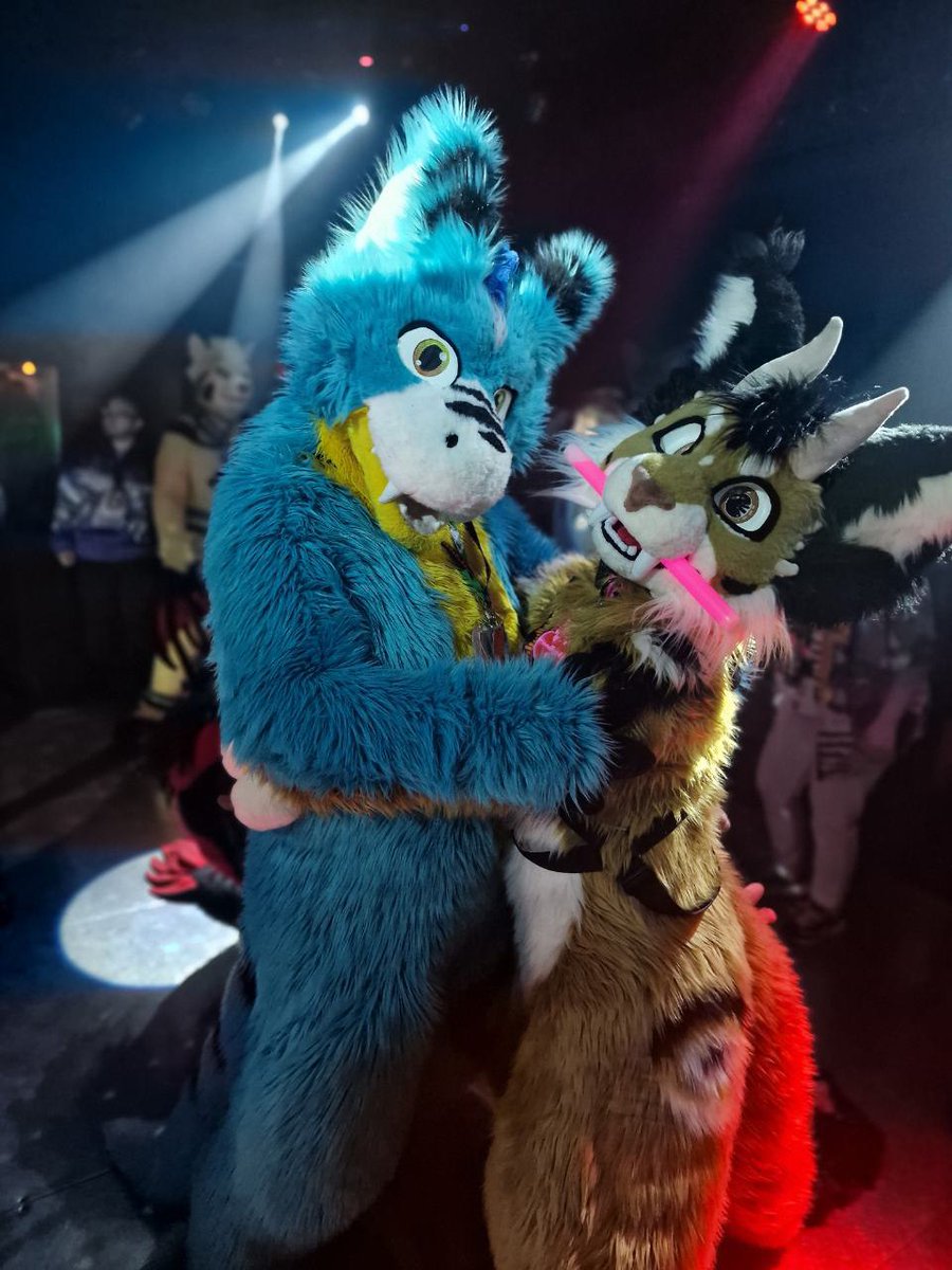 Nirusu_Fox's tweet photo. Its Saturday my followers. And as usual,  you will get a Zero Photo like every Saturday. Wish you a great and warm Day.

Zero is made by @MelisDragonpets 
Fursuiter right is @Sorsaky 
Photo made by @zeralun https://t.co/JeLuRAqrQ1