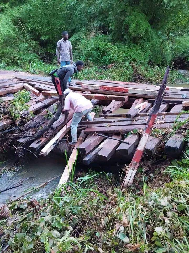 Africainlibr's tweet photo. #Gabon
Un pont emprunté par des véhicules poids lourds vient de céder entre #Moabi et #Mouilla dans la province de la #Nyanga https://t.co/Y1tcBAVgRM