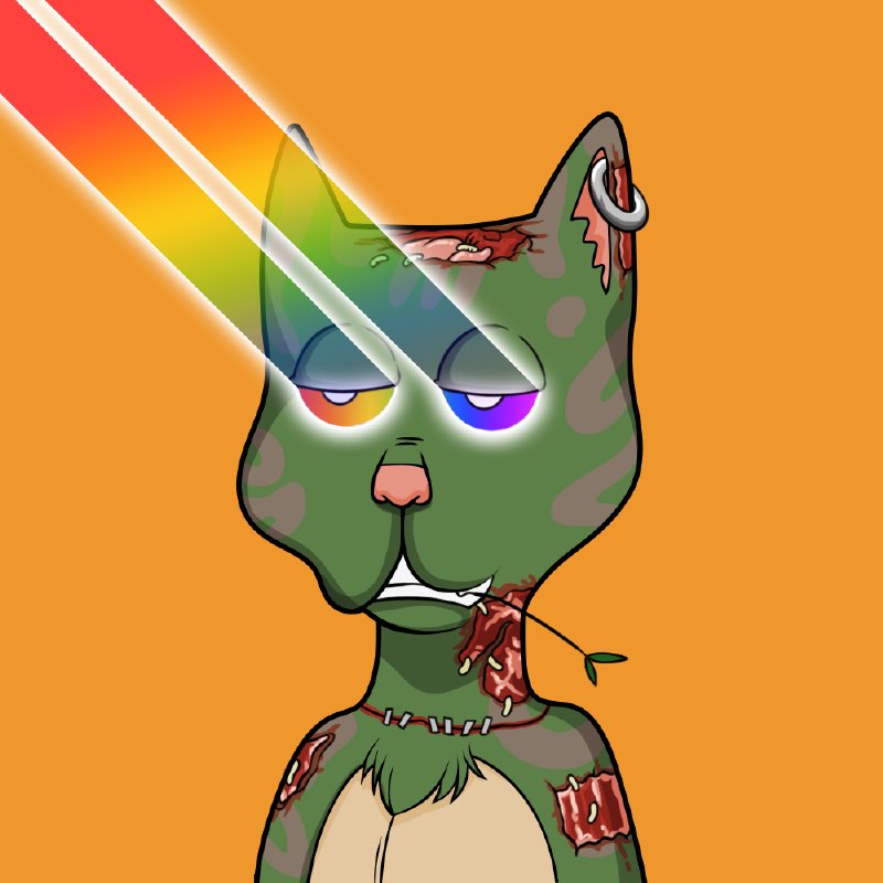 Happy #Caturday boss fam! 

Have a great weekend. Make sure relax and unwind.