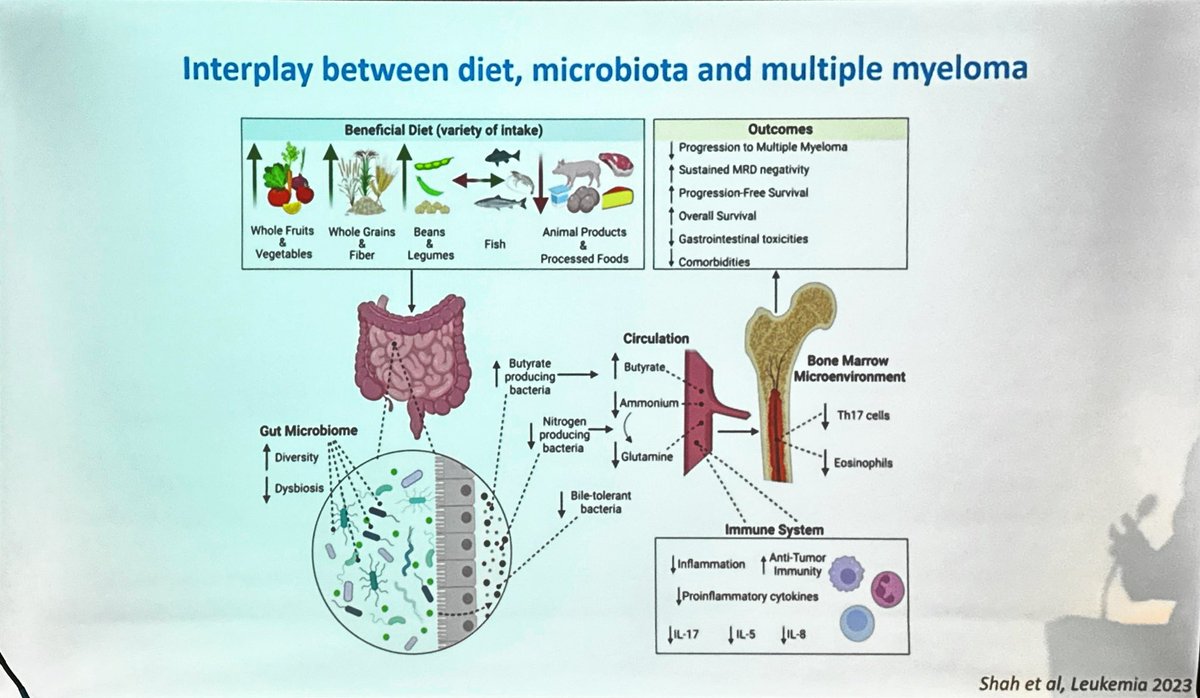Meral Beksac (@mbeksac56) on Twitter photo <a href="/Mohty_EBMT/">Mohamad Mohty</a> The inter communication between diet-microbiota-MM biology is summarized beautifully by F Mallard <a href="/Mohty_EBMT/">Mohamad Mohty</a> The inter communication between diet-microbiota-MM biology is summarized beautifully by F Mallard