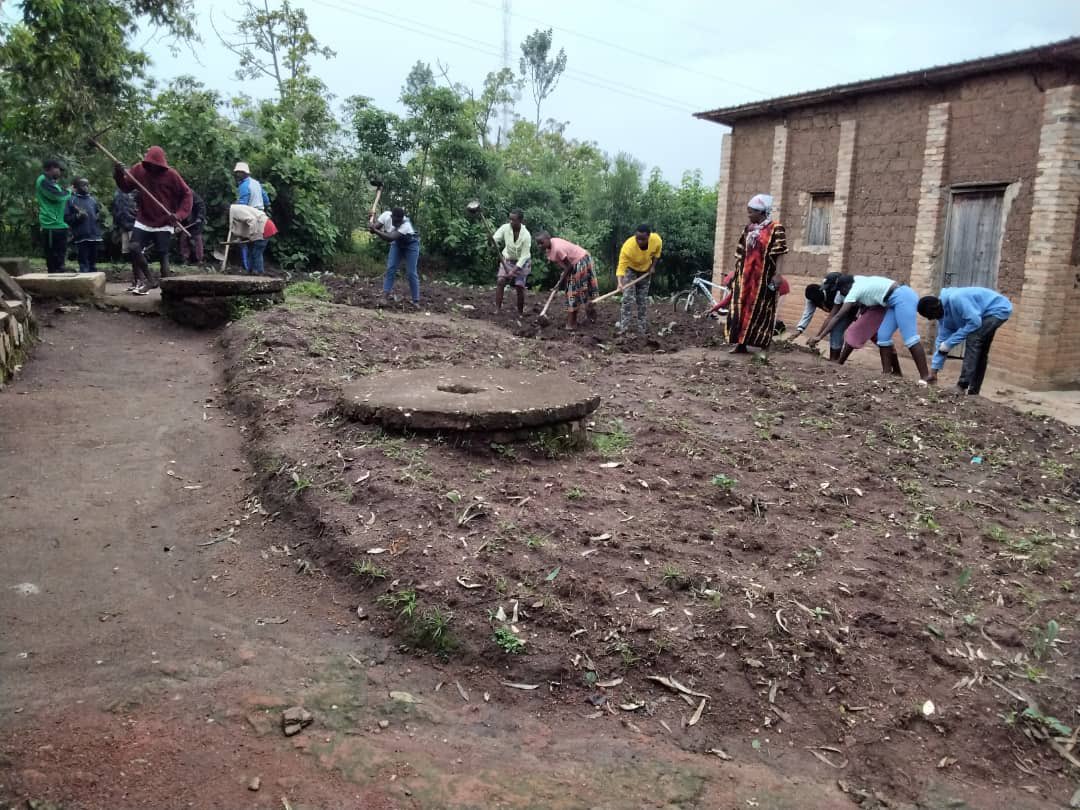 SHYOGWE Sector tweet media