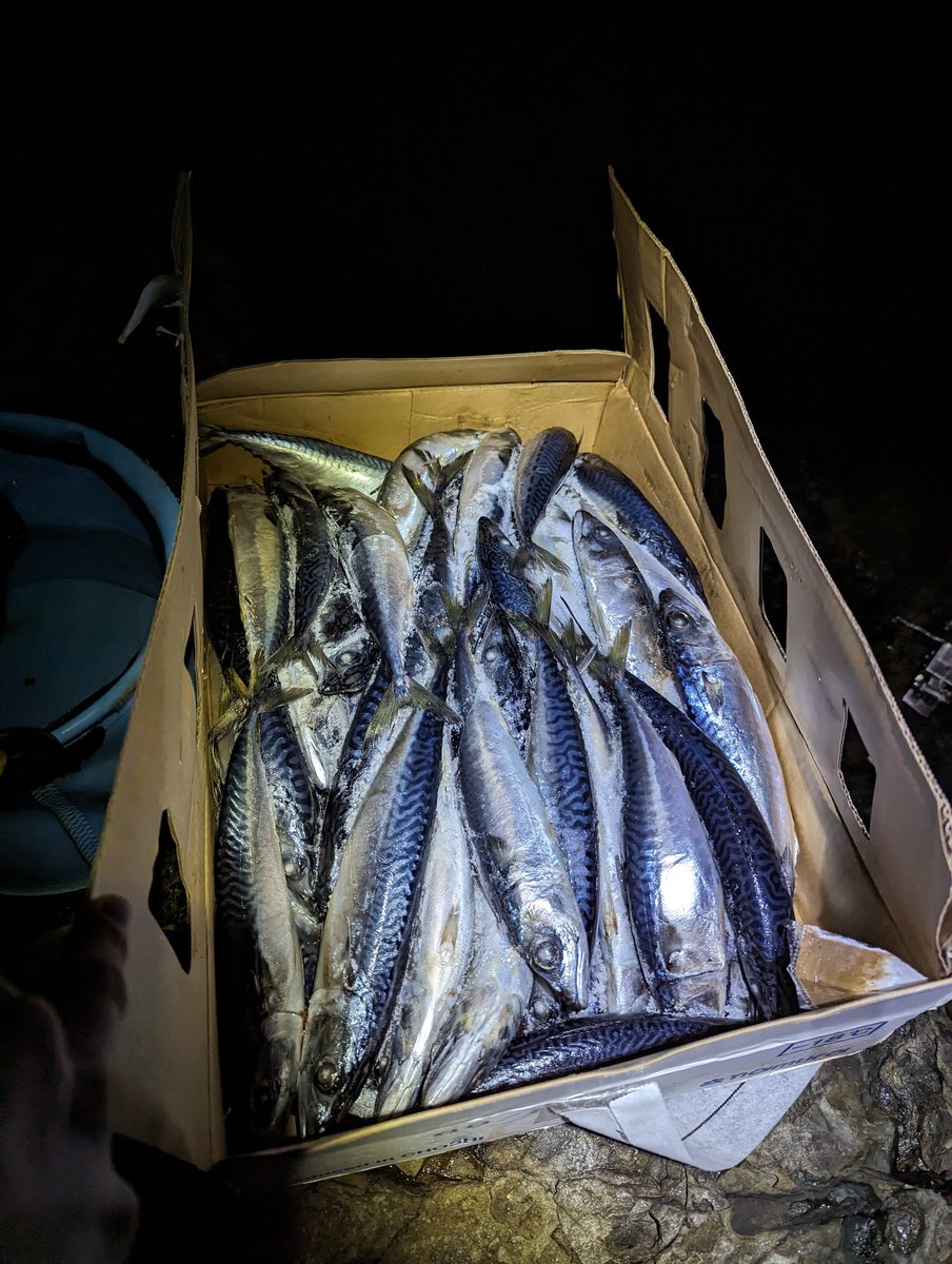 ソロ沖磯夜釣り孤独すぎてはきそう