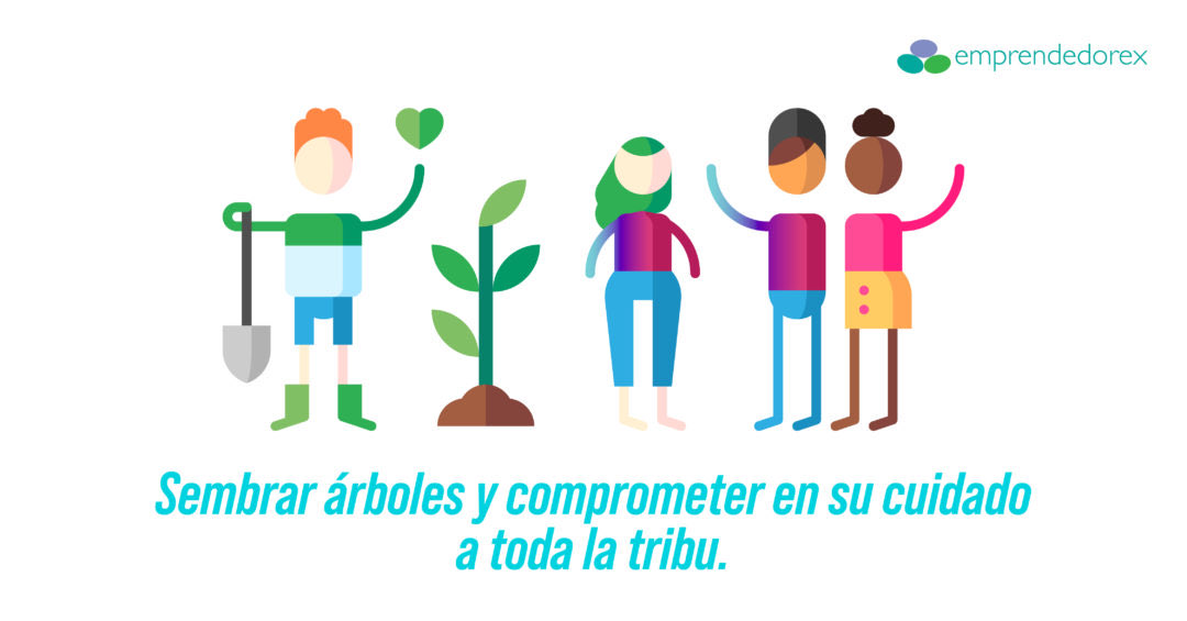 HEMOS DEJADO LAS POLÍTICAS EDUCATIVAS Y DE EMPRENDIMIENTO EN MANOS DE INEPTOS que no tienen ni idea de los tiempos y procesos que son necesarios para la formación en determinadas disciplinas que implican el desarrollo del talento…Adelante!!! juancarloscasco.emprendedorex.com/sembrar-arbole…