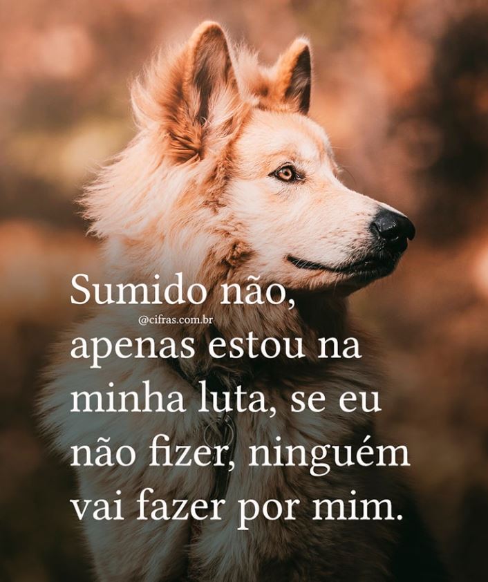 Prof. Particular Alex tweet media