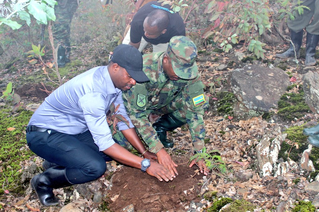 MusanzeDistrict's tweet photo. Uyu muganda wibanze ku gutera ibiti 3000 ku musozi wa #Mbwe uherereye mu Kagari ka #Mbwe mu rwego rwo kurwanya no gukumira ibiza. Umuganda wanitabiriwe na DES @alex_kanayoge , Hon.@DrHabineza , Hon. NIRERE Marie Thérèse, @RwandaMoD ,@Rwandapolice , @RCS_Rwanda n' abaturage. https://t.co/3VWwPfQimn