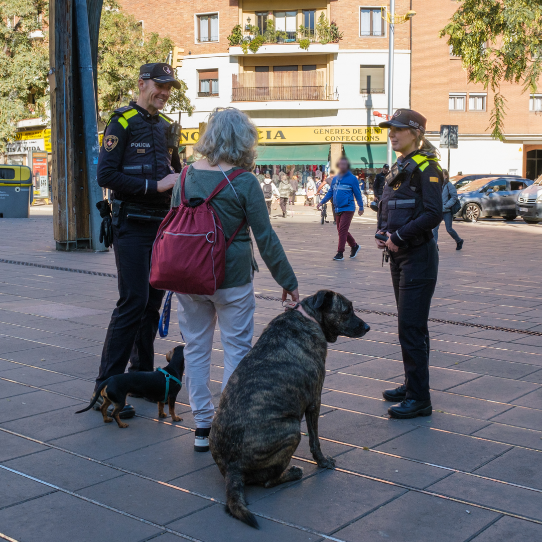 GUBBarcelona's tweet photo. 🆕 Les zones d’usos compartits (#ZUC) per a gossos s’activen oficialment a partir del 18 de desembre. Són un total de 109 carrers, places, rambles o parcs distribuïts als 73 barris, on els animals poden anar deslligats en determinades franges horàries.

ℹ️ https://t.co/gbi0lnTqZw https://t.co/QbJ69cL6sE