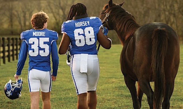 MusebyClio's tweet photo. ICYMI: @VisitLEX gets "Moore Horsey"—and that's no typo. https://t.co/aReUEFMv9D https://t.co/ylptGfvONd