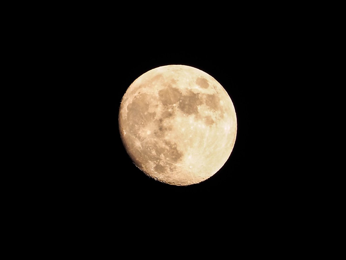 曇りの夜ですが待ち構えていたら十三夜のお月様をみることができて
嬉しい。。。