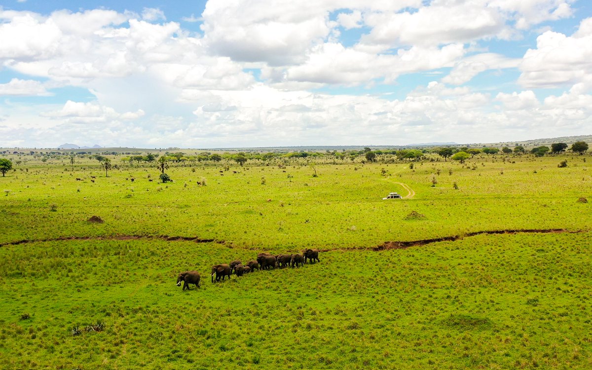 Kidepo Valley National Park, a true haven for nature enthusiasts. #ExploreUganda