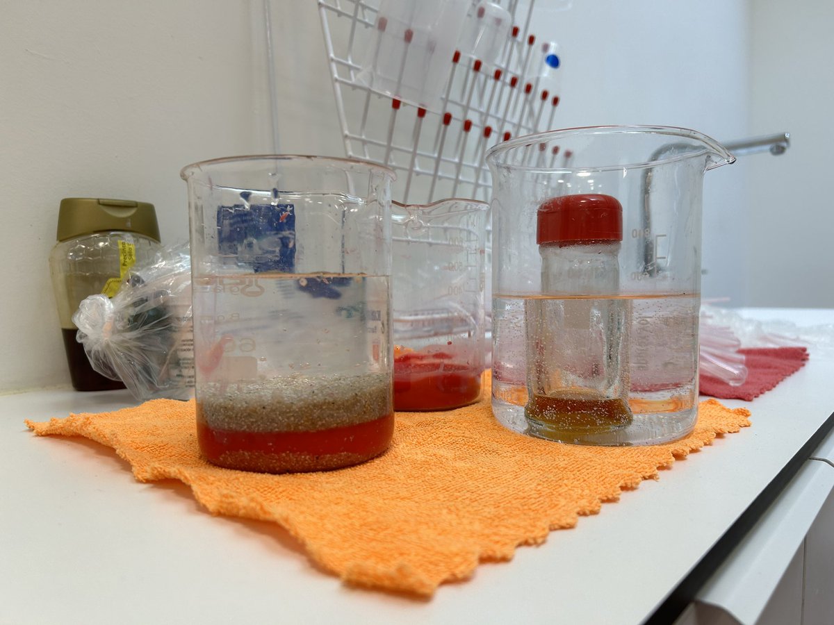 espaigea tweet media