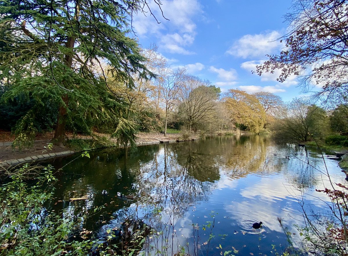 neilwyn's tweet photo. Parc Penbedw - hyfrydwch yr hydref https://t.co/35Zggi3Lyr