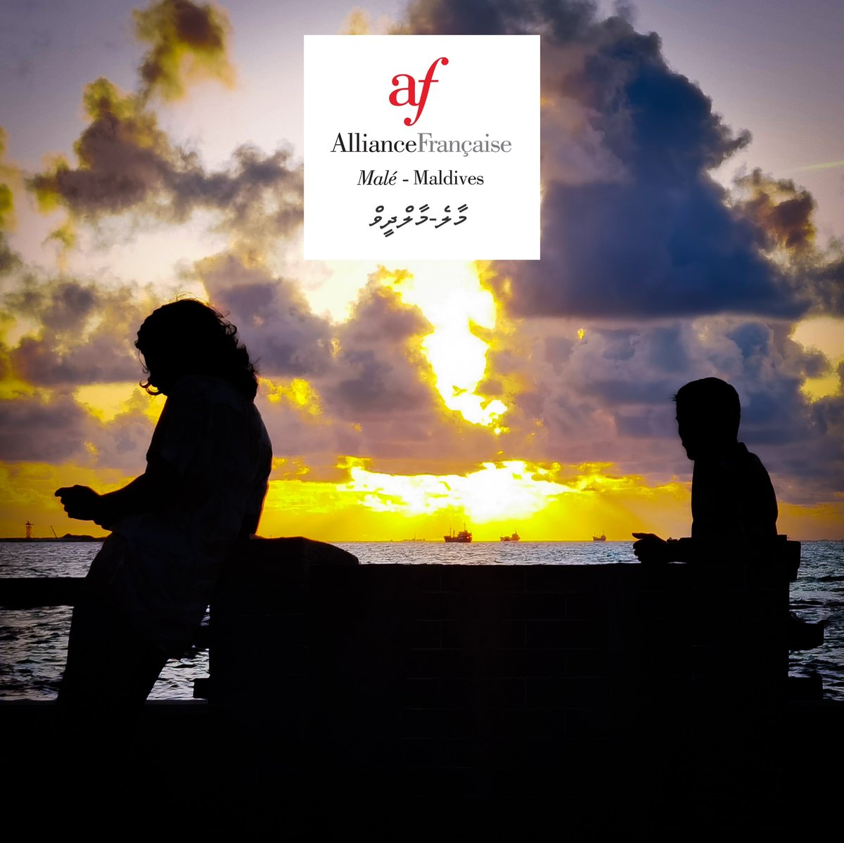 AFMaldives's tweet photo. https://t.co/mh8iRmfzGk
