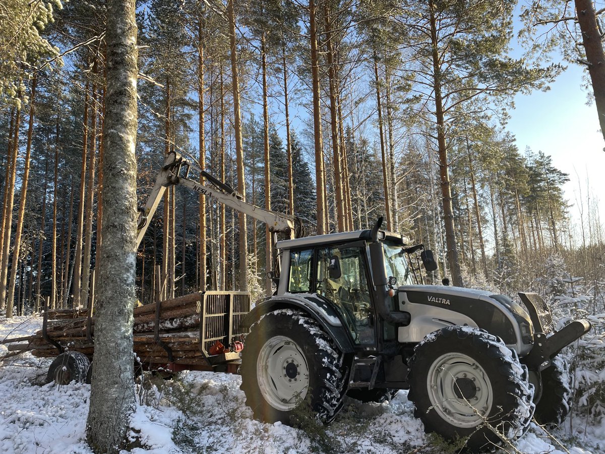 Mitä sitä ihminen oikein muuta kaipaisi.