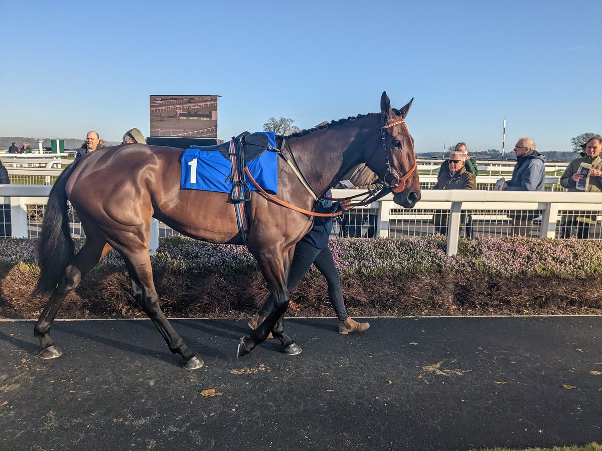 Hoping for a good performance on her seasonal reappearance from Hidden Beauty at Huntington Races
Good luck team 🤞
@NickBrownRacing @OBMRacing @LiamHarrisonNH