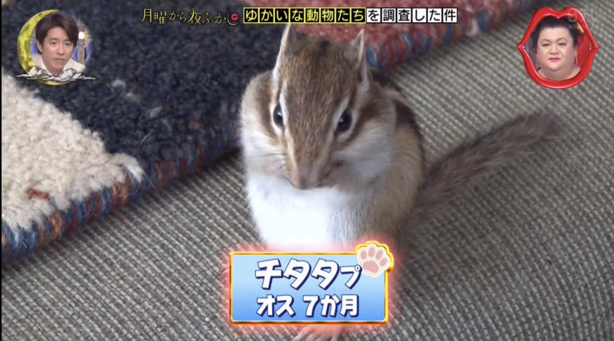 tyomateee2's tweet photo. 名前があまりにも不穏すぎる https://t.co/9h5fpaLFTs