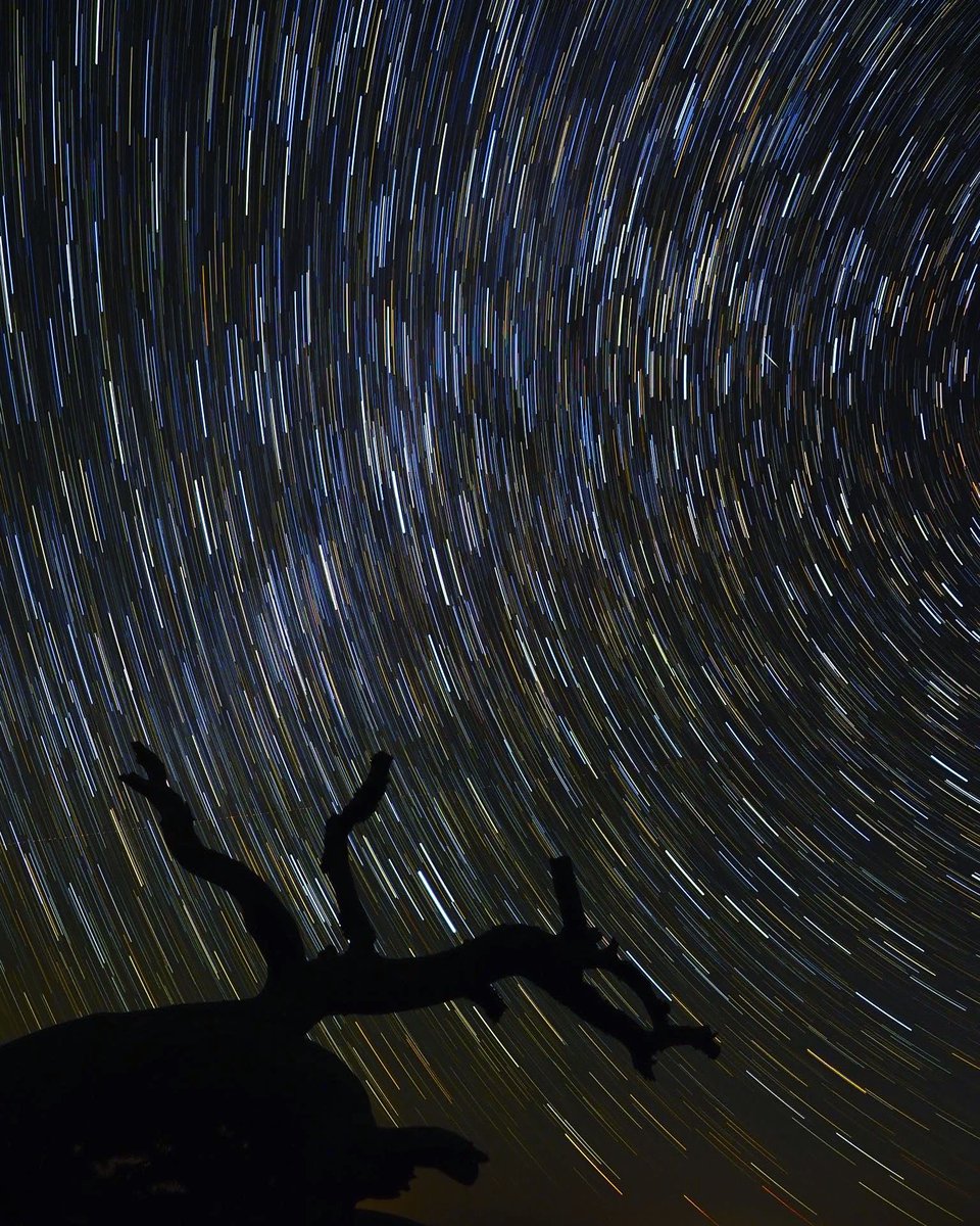 Izarrak koloretakoak dira <a href="/amarauna/">Amarauna</a>