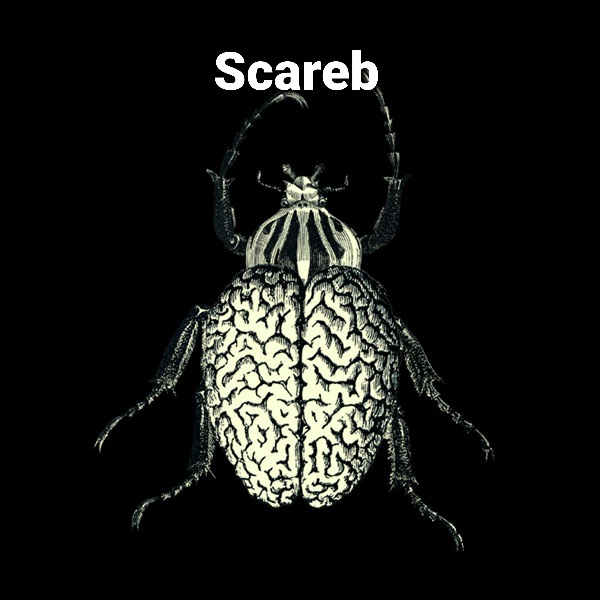 AhHonings's tweet image. In ieder mens 
gaat kwaad &amp;amp; goed

Toch veel mensen
zijn al ziende
stekeblind geworden
💞

#Scareb
the #brainbug