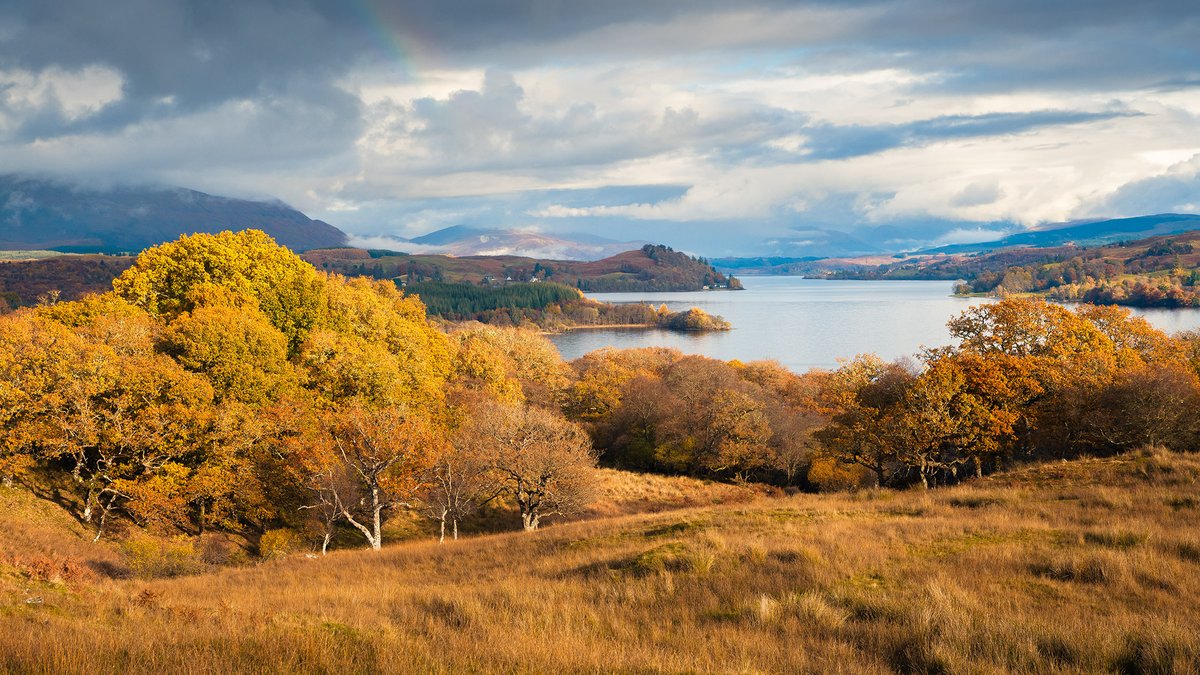 DamianShields1's tweet photo. Loch Awe from Dalavich #Argyll #Scotland #Dalavich https://t.co/hj6PGAM8aE https://t.co/78maxuvHlw