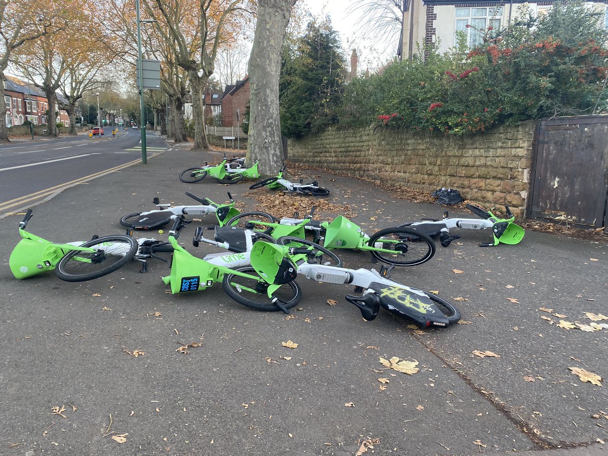 Lenton DNRA 💙 tweet media