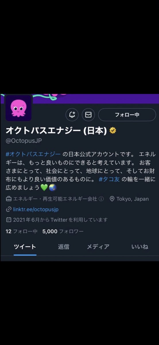 アーカイヴ tweet media