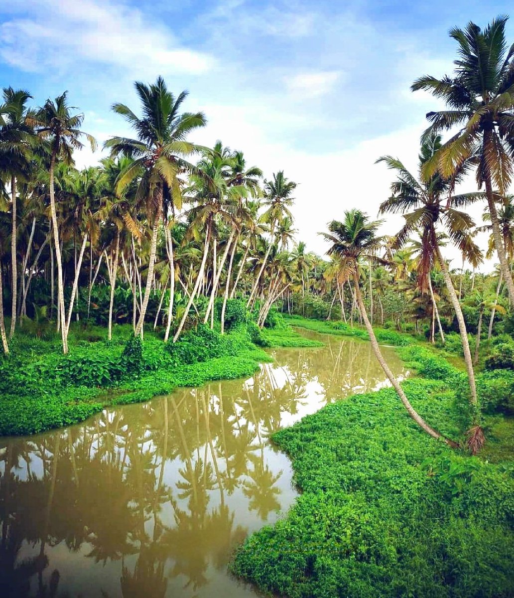 Nagercoil, Kanyakumari 💚😍