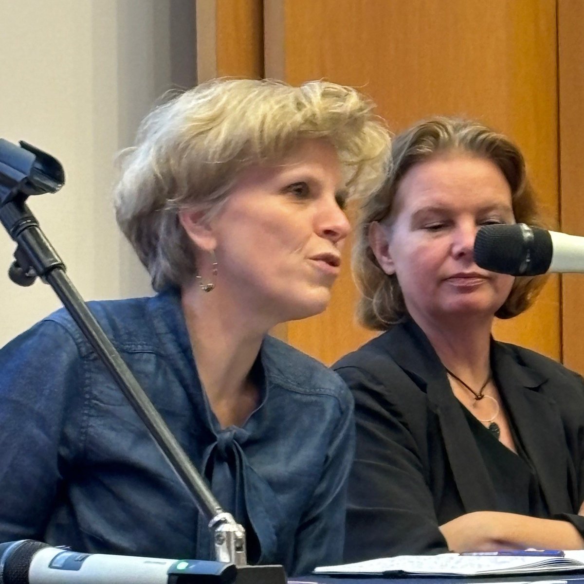 Table-ronde sur la Protection de l'enfance : échanges avec Anne Devreese, présidente du Conseil national de la protection de l'enfance (Cnpe) et Anne Morvan-Paris de la direction générale de la cohésion sociale (Dgcs) autour des services et mobilisation du réseau Unaf-Udaf-Uraf.