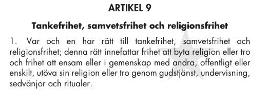 hrhellman's tweet photo. Idag rekommenderar jag alla att läsa Europakonventionen. För att se vilka rättigheter vi alla har och förhoppningsvis förstå varför de är viktiga att värna. https://t.co/YgLtJ0gUmE https://t.co/Hj9CJmTnfC