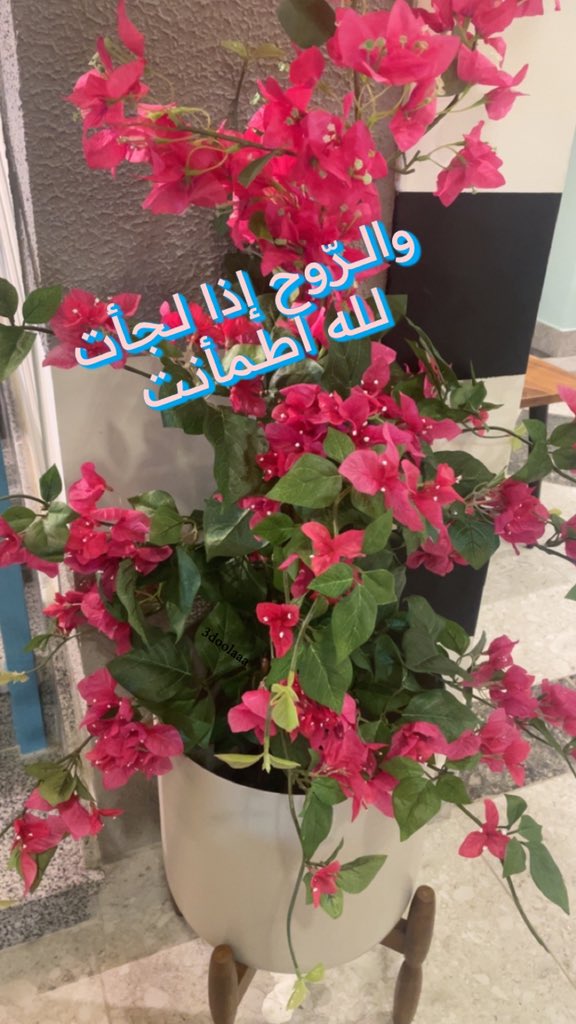 💫 E . E . Alfailkawi 💫 tweet media