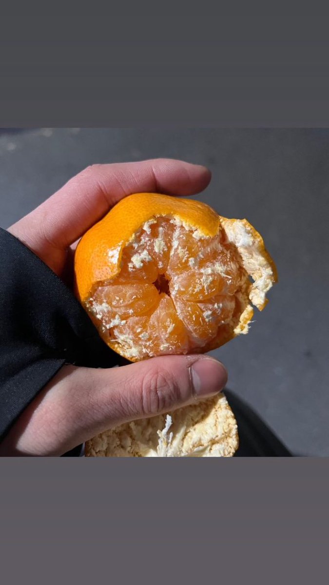 은근 제철과일 잘 챙겨먹는 거 왤케 귀엽지