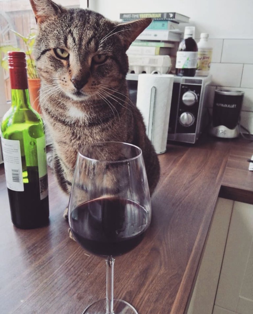 Zoë Paramour tweet media