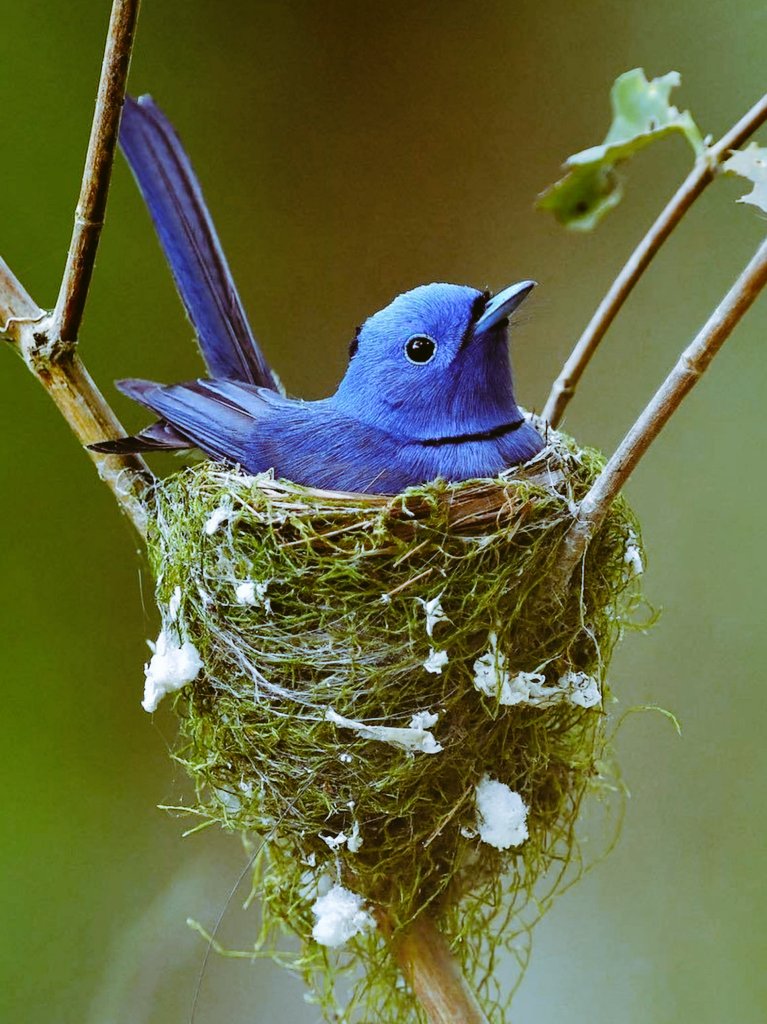 Do we often think that birds’ paws get cold in winter?  

Take care of yourself, 

my dear Friends 

- may your feet not freeze 

and may there always be hot tea on your table...