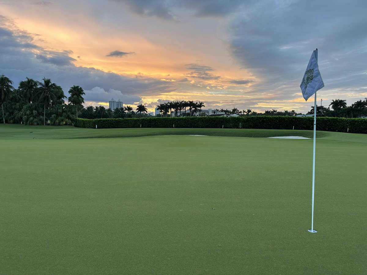 Morning view #turflife