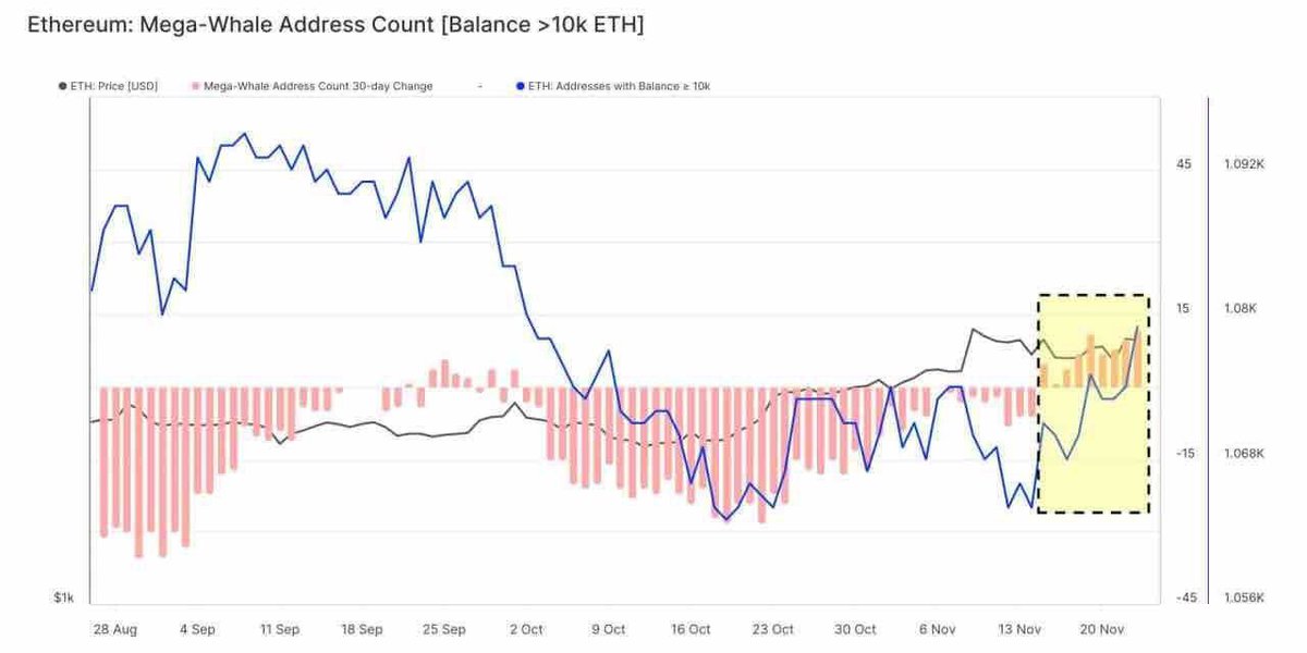 bl_ockchain's tweet photo. Over the past 9 days, wallets with 10,000+ #ETH are on an accumulation streak. 

The buzz? 👀
Anticipation around the ETH spot ETF. 

#Ethereum #Crypto https://t.co/R21hbDjQT7