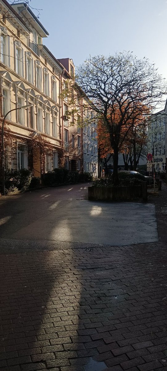 paula_izab's tweet photo. #takielistopady #przebłyski 

#alsonovember 😄🤞 https://t.co/DDvu7pVfHq