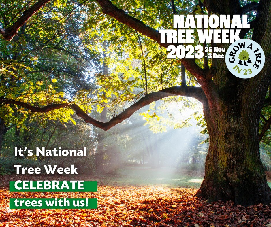 🌳 🌲It's National Tree Week, we want to celebrate trees, but also want to celebrate our partners Mires Beck Nursery, TCV,  Patt Foundation and Rewilding Youth, the volunteers who plant trees  and everyone who plants trees on their land.

orlo.uk/Humber_Forest_…