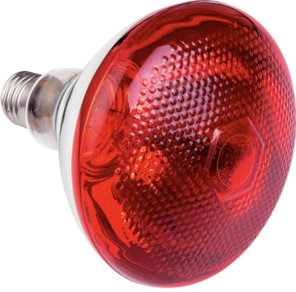 AlpacaAurelius's tweet photo. If I lived somewhere it was cold right now I'd buy these infrared bulbs

Most people realize we're missing vitamin D in the winter, but infrared light is critical to mitochondria health

It increases ATP, structures water and increases lifespan in animals

https://t.co/rDRAJcuZ2A https://t.co/X6rwqHoXsv