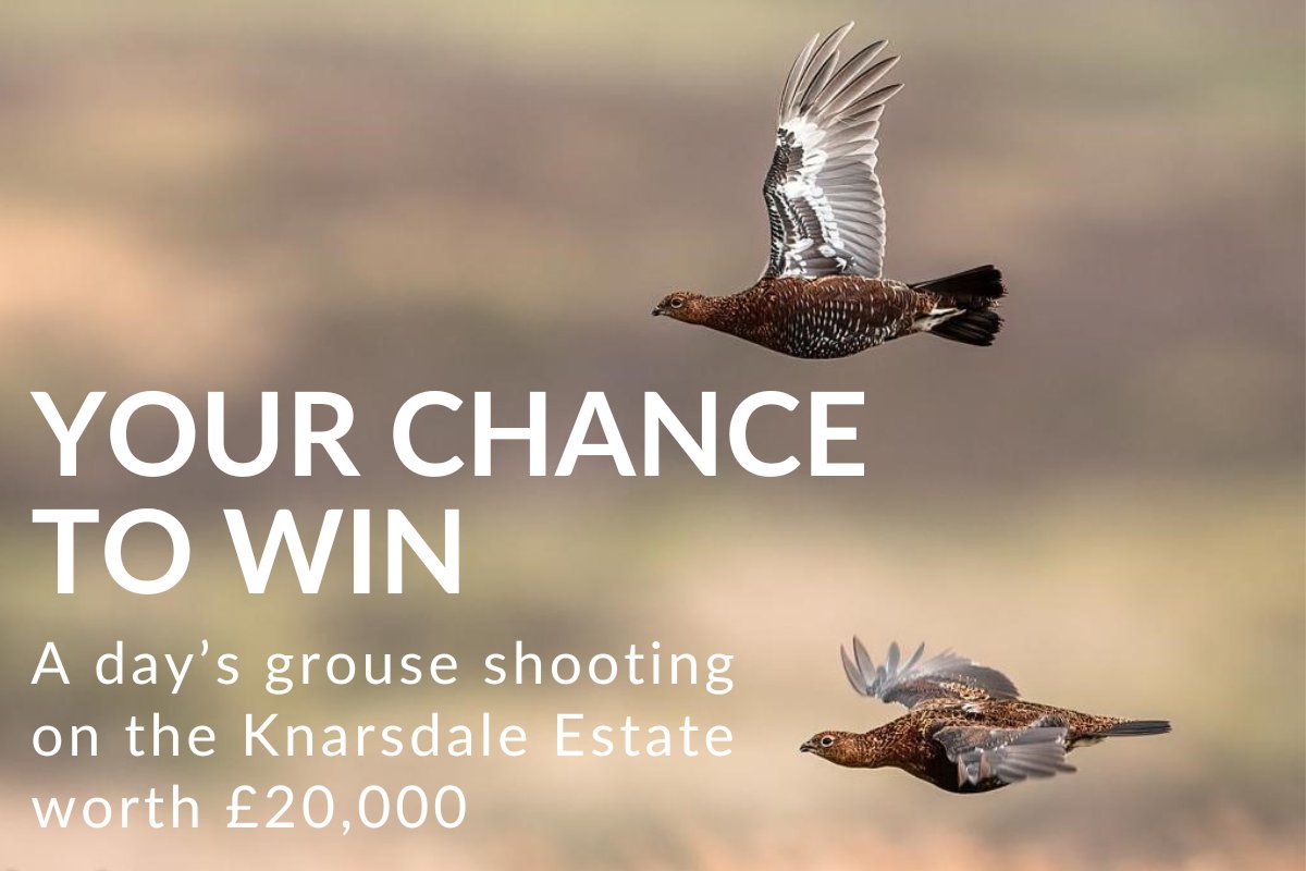 Have you entered our incredible Knarsdale Shoot Day draw yet? You could be in with the chance of winning a day's shooting for nine double guns worth £20,000! All proceeds go towards the work of the Campaign for Shooting. Enter now 🤩 >> bit.ly/47uHs1q