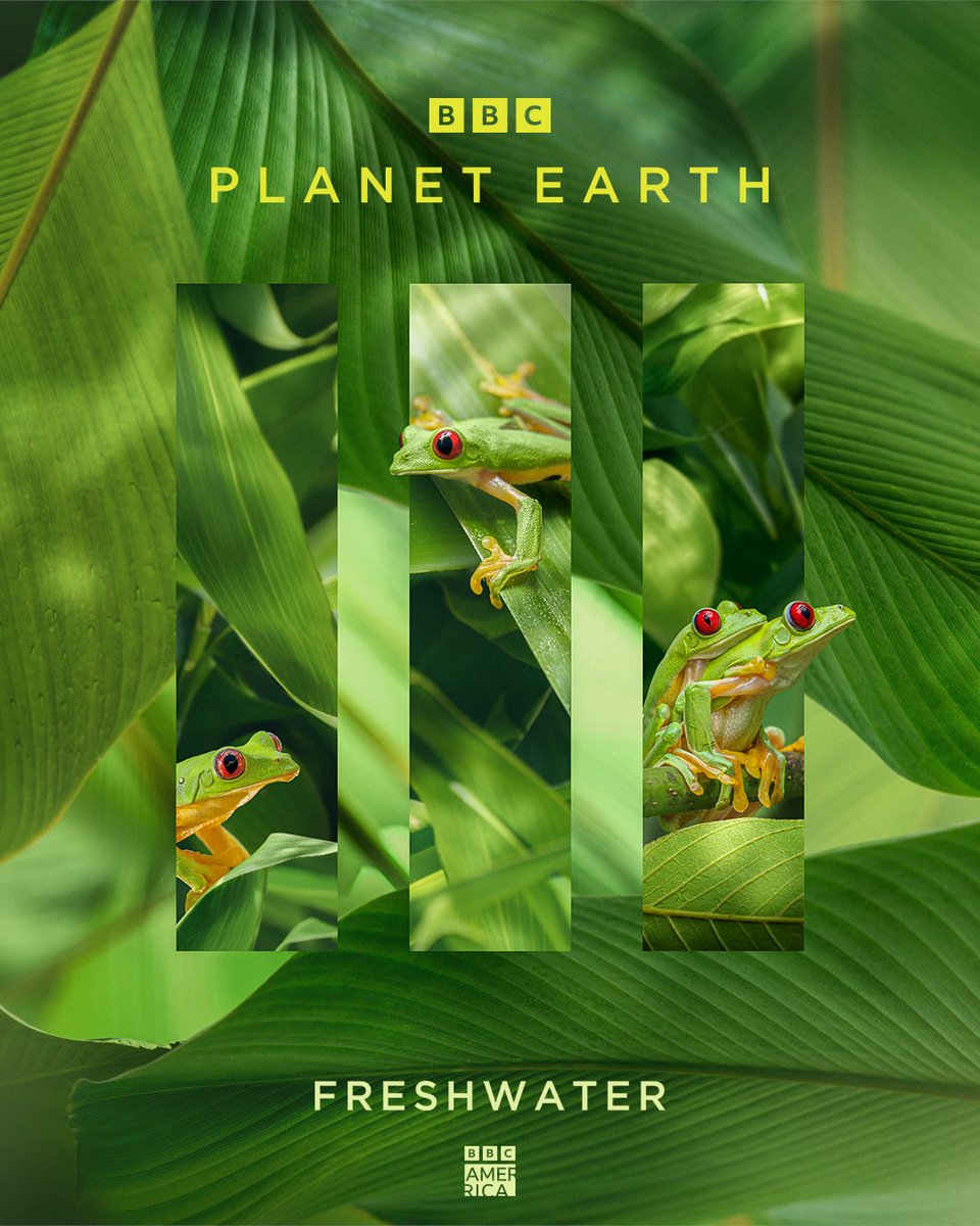 Housing one tenth of all species on the planet, freshwater is a rich and diverse habitat filled with never-ending surprises. A new episode of #PlanetEarth3 premieres tonight at 8pm!