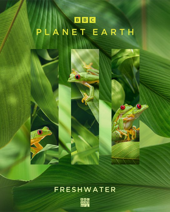Housing one tenth of all species on the planet, freshwater is a rich and diverse habitat filled with<a href="/tag/planetearth3"class="tags"><span>#planetearth3</span></a>