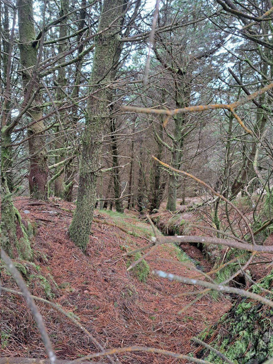 Barry Murphy tweet media