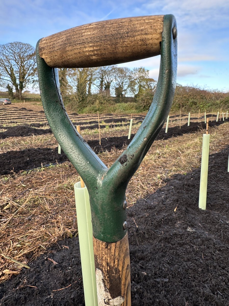 42F (King's Lynn) Squadron ATC tweet media