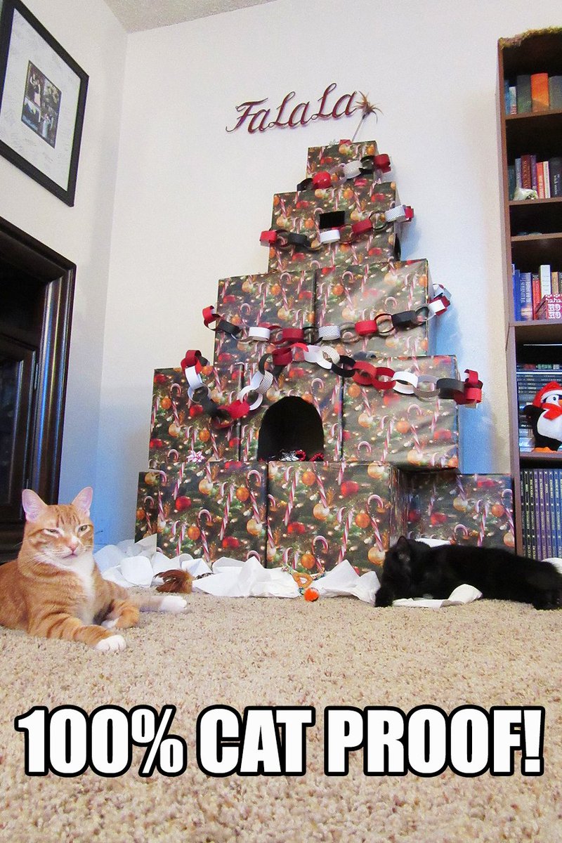 ColeTheBlackCat's tweet photo. OK, the tree's up! 🎄😼

#Caturday #CatsVsChristmasTrees #ChristmasTree #CatProof #Cats https://t.co/VK5S20YFpz