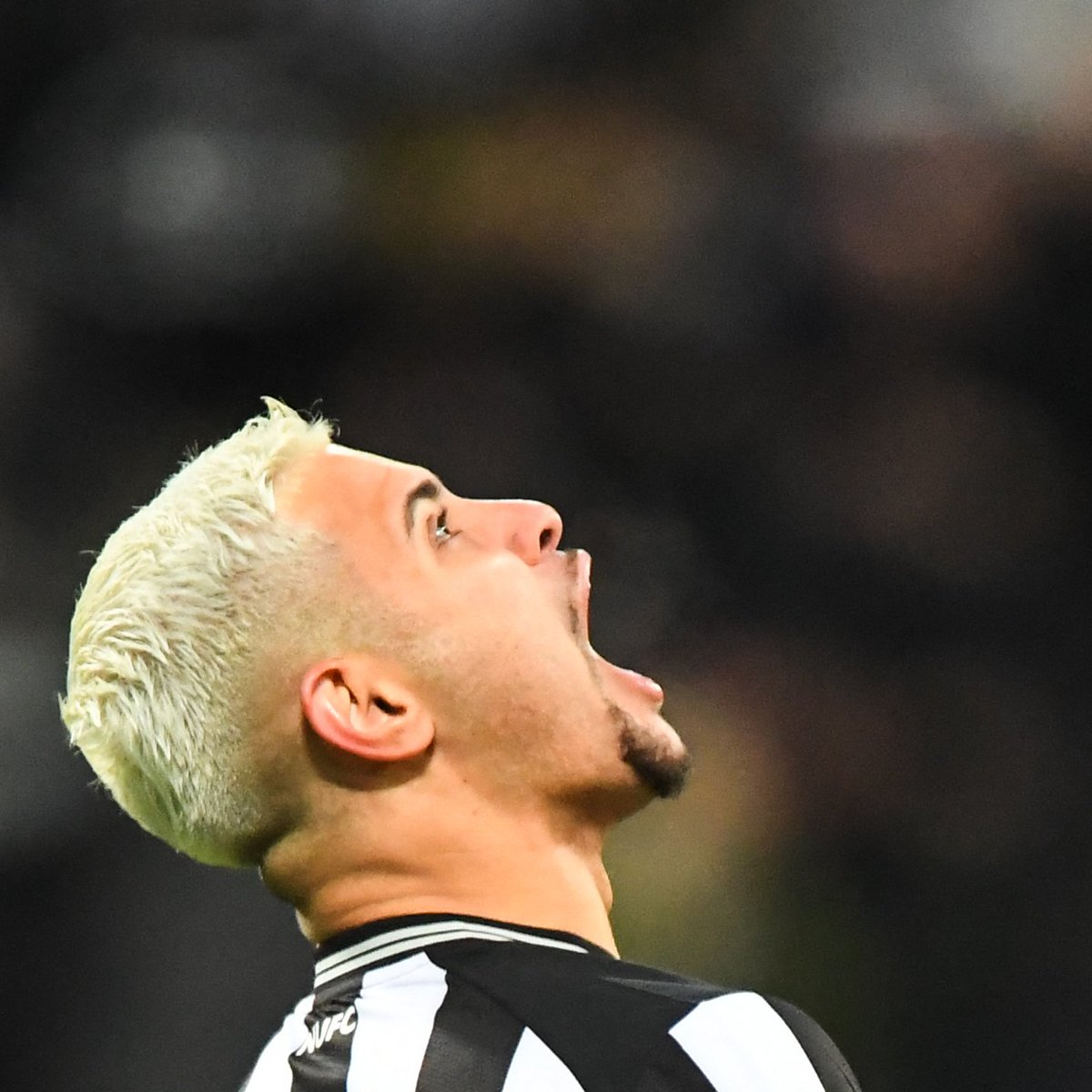 Newcastle United tweet media