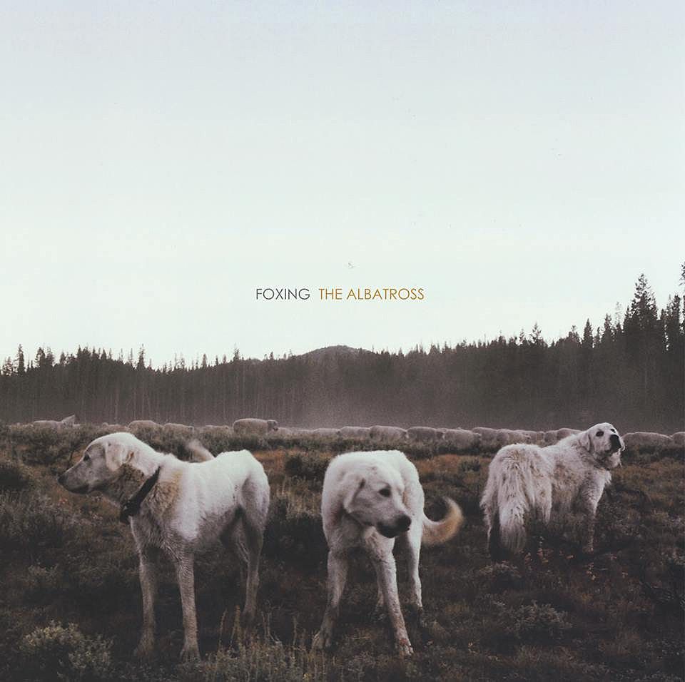 brooklynvegan's tweet photo. 2013 was a hugely pivotal year for the then-new generation of emo &amp; post-hardcore. A look back on 25 classic albums from that year, including @twiabp, @Foxing, @balanceandcomp, @CitizenMi &amp; more: https://t.co/Xh37qDUcBO https://t.co/TwwCi3fDQH