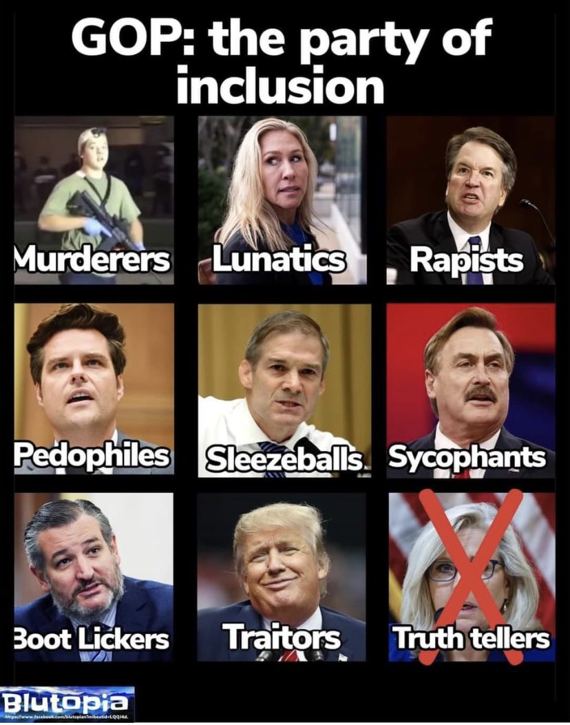 JessicaUSAF's tweet photo. 🤢 That’s not a political party.
It reads more like a breakdown of the population in cell block C at any given prison. https://t.co/fhFMxT58Gn