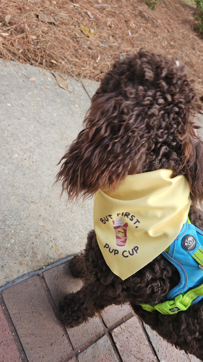 Jeremy Diamond tweet media