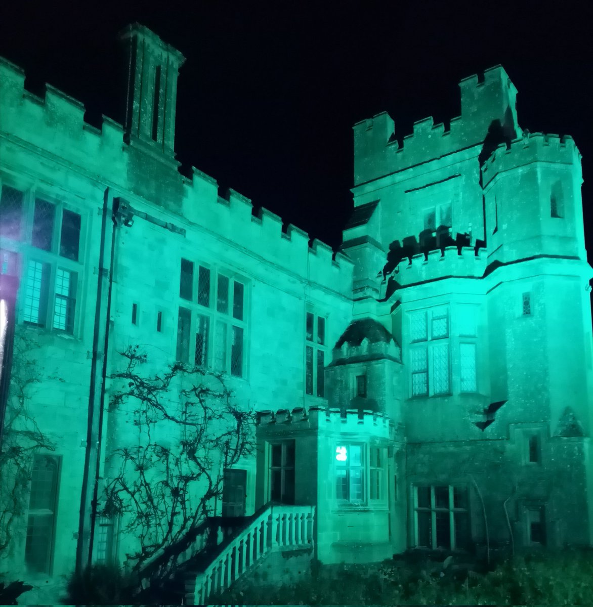 Looking for something to get you in the festive mood, then look not further than a terrific family evening out at the #Spectacleoflight at <a href="/SudeleyCastle/">Sudeley Castle</a> #winchcombe