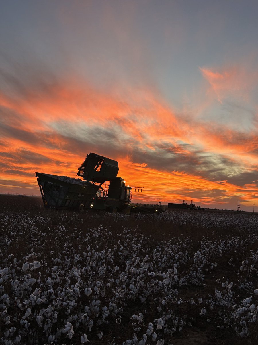 Prentice Fred tweet media