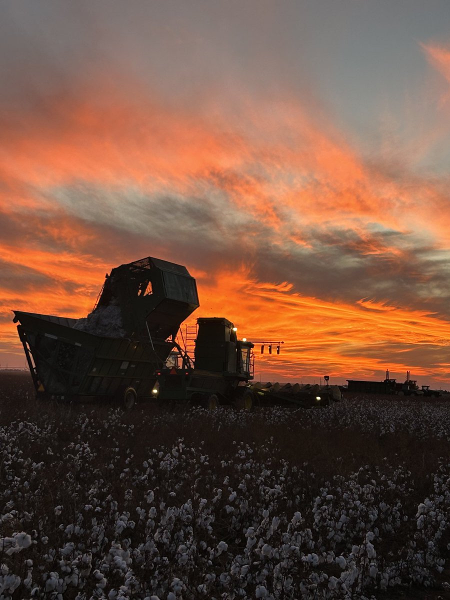 Prentice Fred tweet media